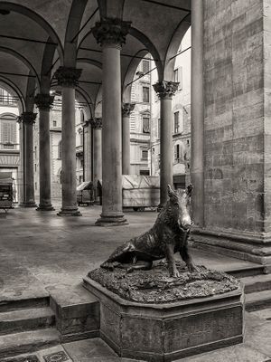 Inquire to acquire official limited edition black and white fine art prints of the historic Il Porcellino bronze sculpture in Florence, Italy, by William Curtis Rolf. William Curtis Rolf black and white photography Il Porcellino wild boar bronze statue Mercato Nuovo Florence Italy Architectural Details Portfolio