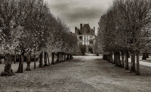 Black and white landscape photograph looking down a tree-lined avenue toward the historic Chateau de Fontainebleau by William Curtis Rolf. Chateau de Fontainebleau View Through Alley Black and White Print