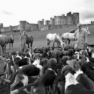 Fine art architectural study of the historic Percy Hunt gathering on the Alnwick Castle grounds by William Curtis Rolf. Equestrian Fine Art Print: Percy Hunt at Alnwick Castle by William Curtis Rolf