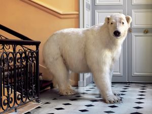 Deyrolle Polar Bear 18th Century Architecture Art Print