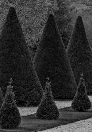 Black and white architectural landscape photograph of the historic formal gardens at Chateau de Sceaux in France by William Curtis Rolf. Study 3. Chateau de Sceaux French Garden Study 3 Black and White Print