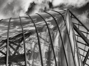 Louis Vuitton Foundation 2017 Study 3 Black White Print