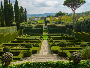 Color landscape photograph of the geometric boxwood hedges and formal Renaissance gardens at Villa I Tatti in Italy by William Curtis Rolf. Villa I Tatti Florence Italian Garden Color Print