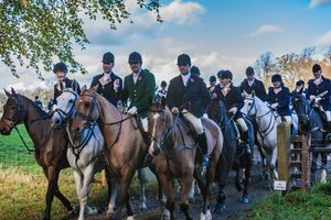 Duke of Beaufort 2014 Fox Hunt Badminton England study 4 Fine Art Print by William Curtis Rolf