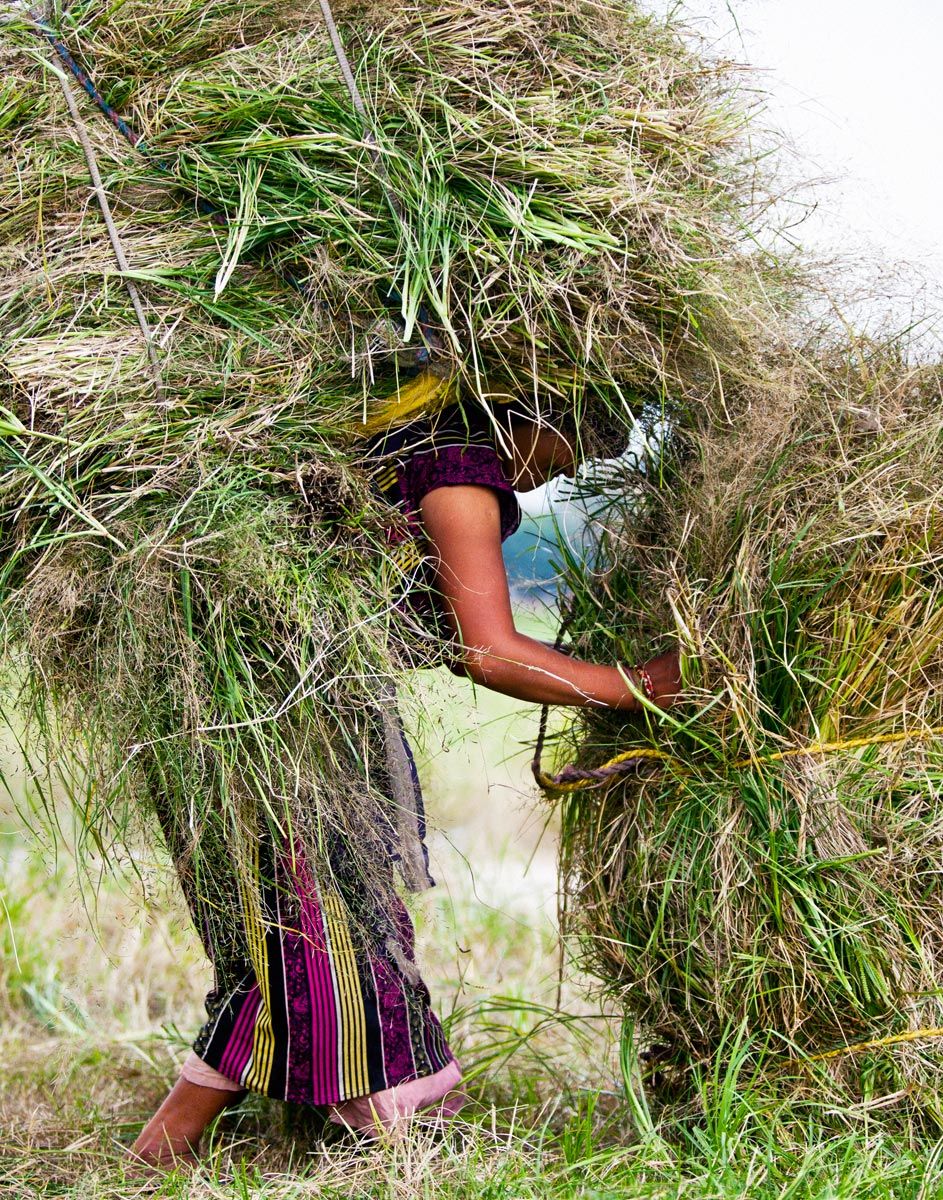Nepal, An Intimate Look