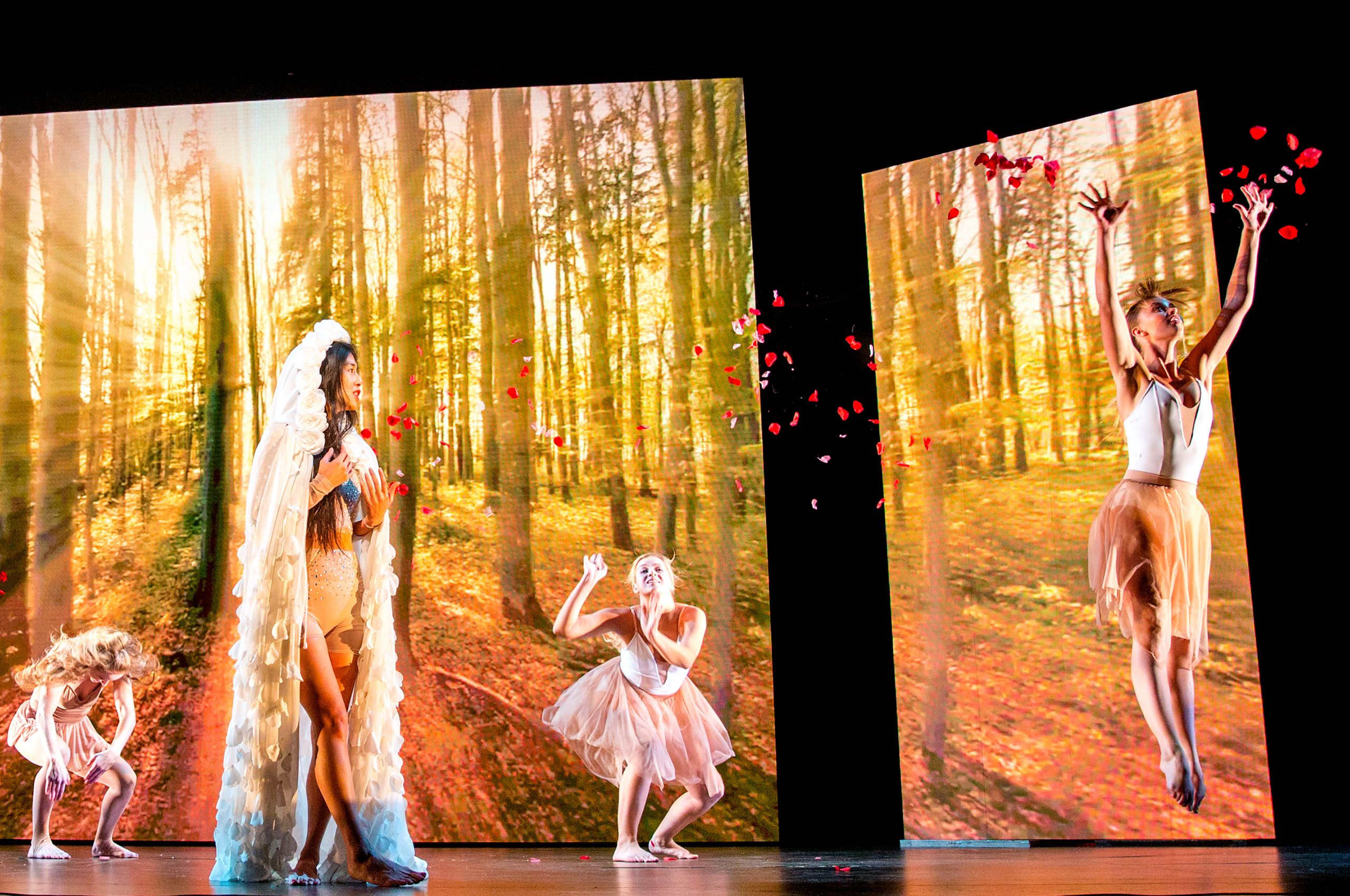 Sangeeta Kaur - Niguma Opera