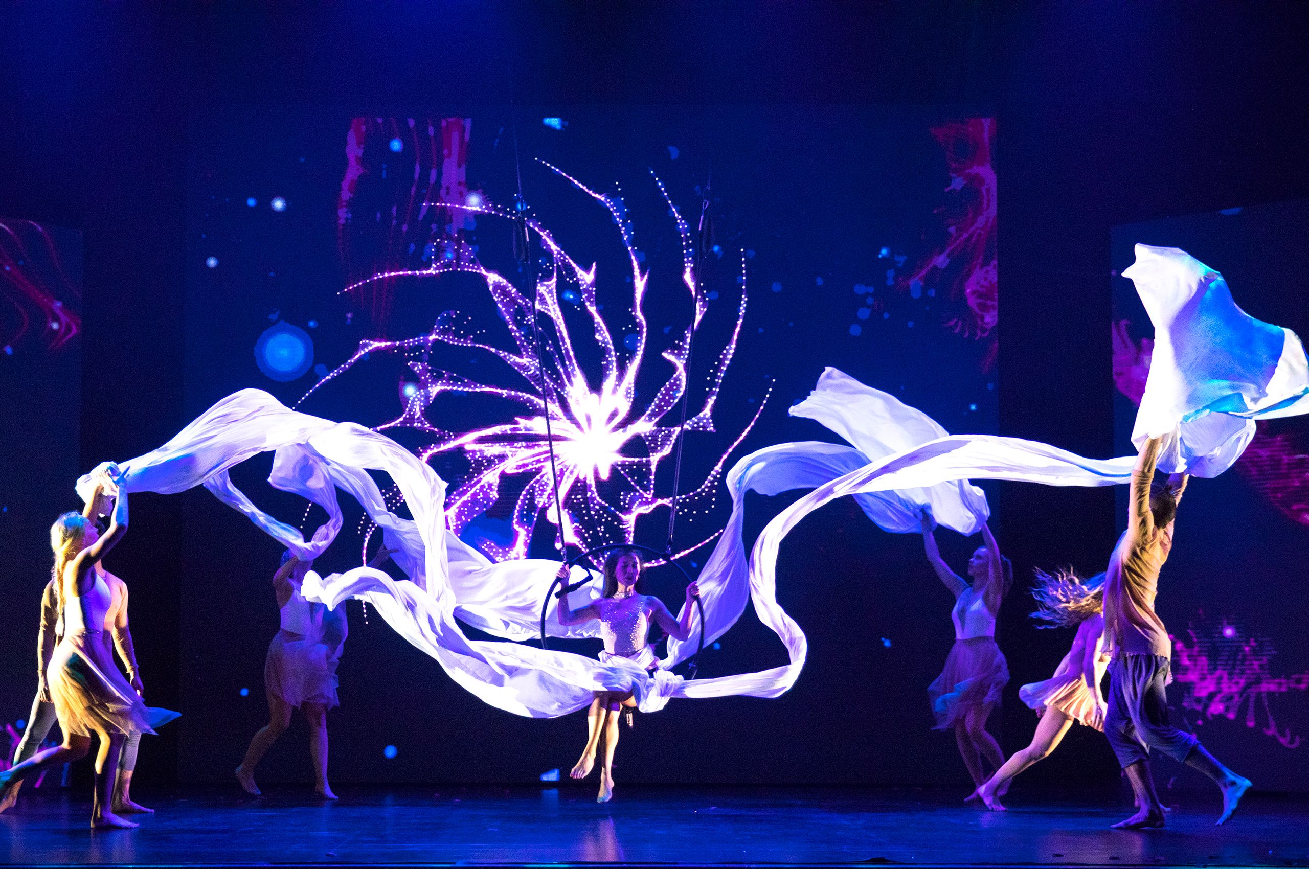 Sangeeta Kaur - Niguma Opera