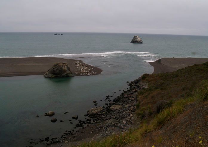 "And then we found seals..."