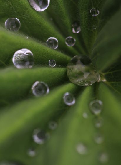 1water_drops_reflection