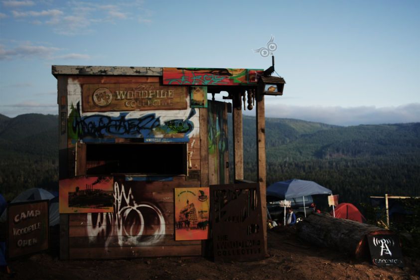 1woodpile_collective