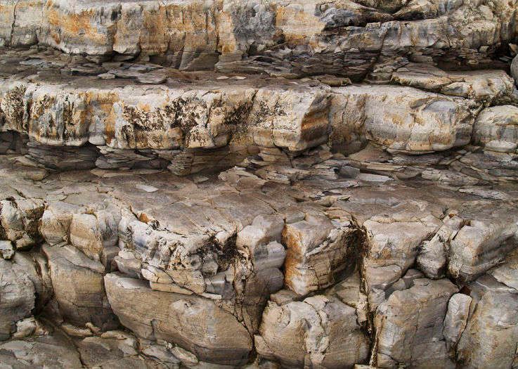 Point Arena, California