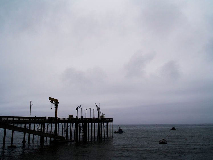 "Point Arena, California"