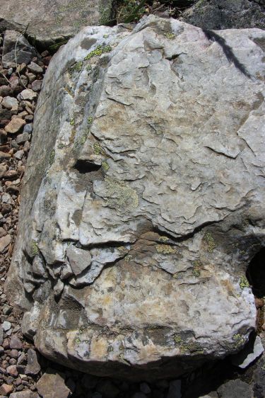 "Mindful Detachment"