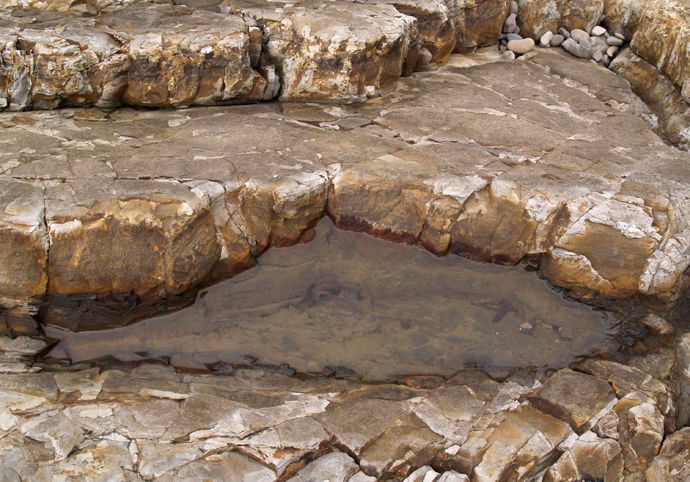 Point Arena, California