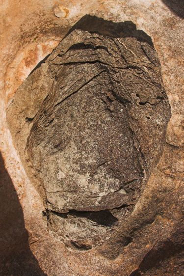 "Trust in the Process"