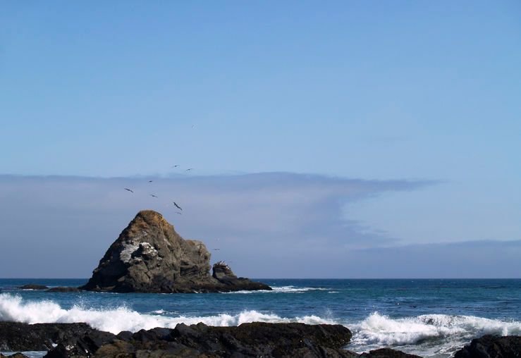 "I waited awhile for the birds to return..."