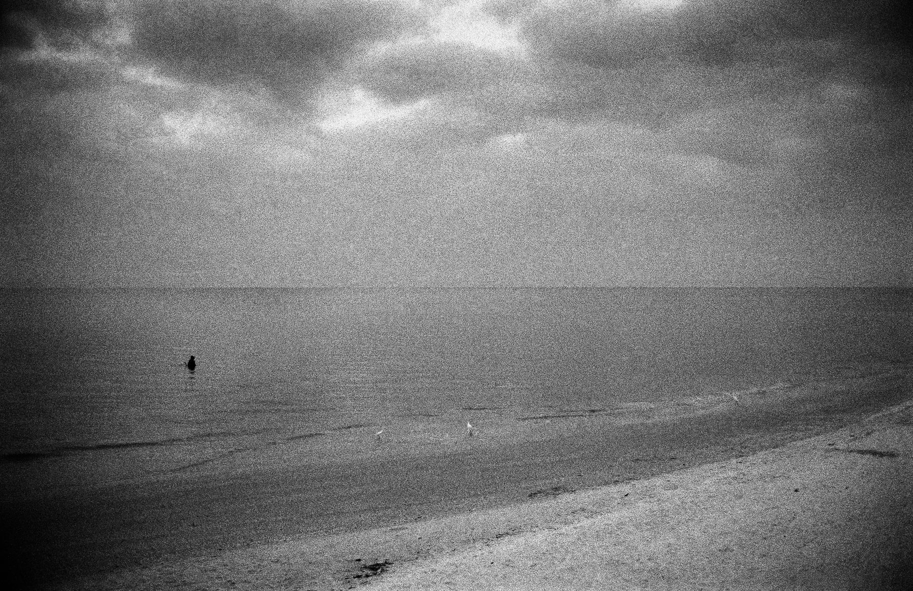 Naples, FL, 1991