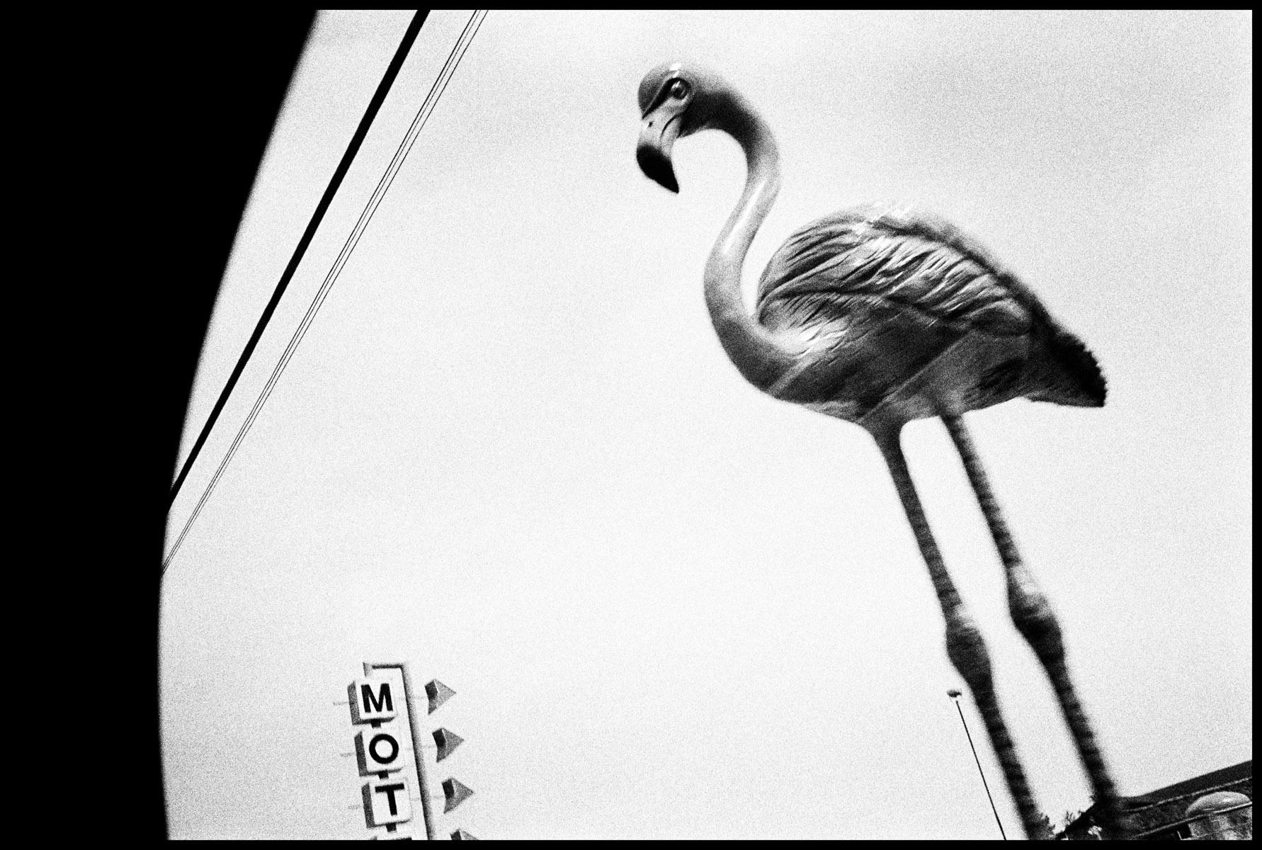 Wisconsin Dells, WI, 1990