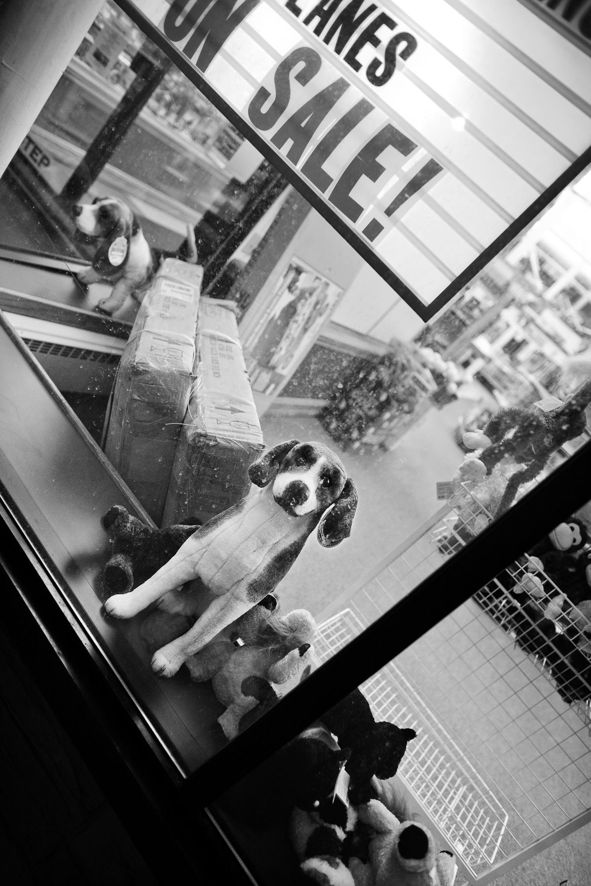 Oregon St., Oshkosh, WI, 2009