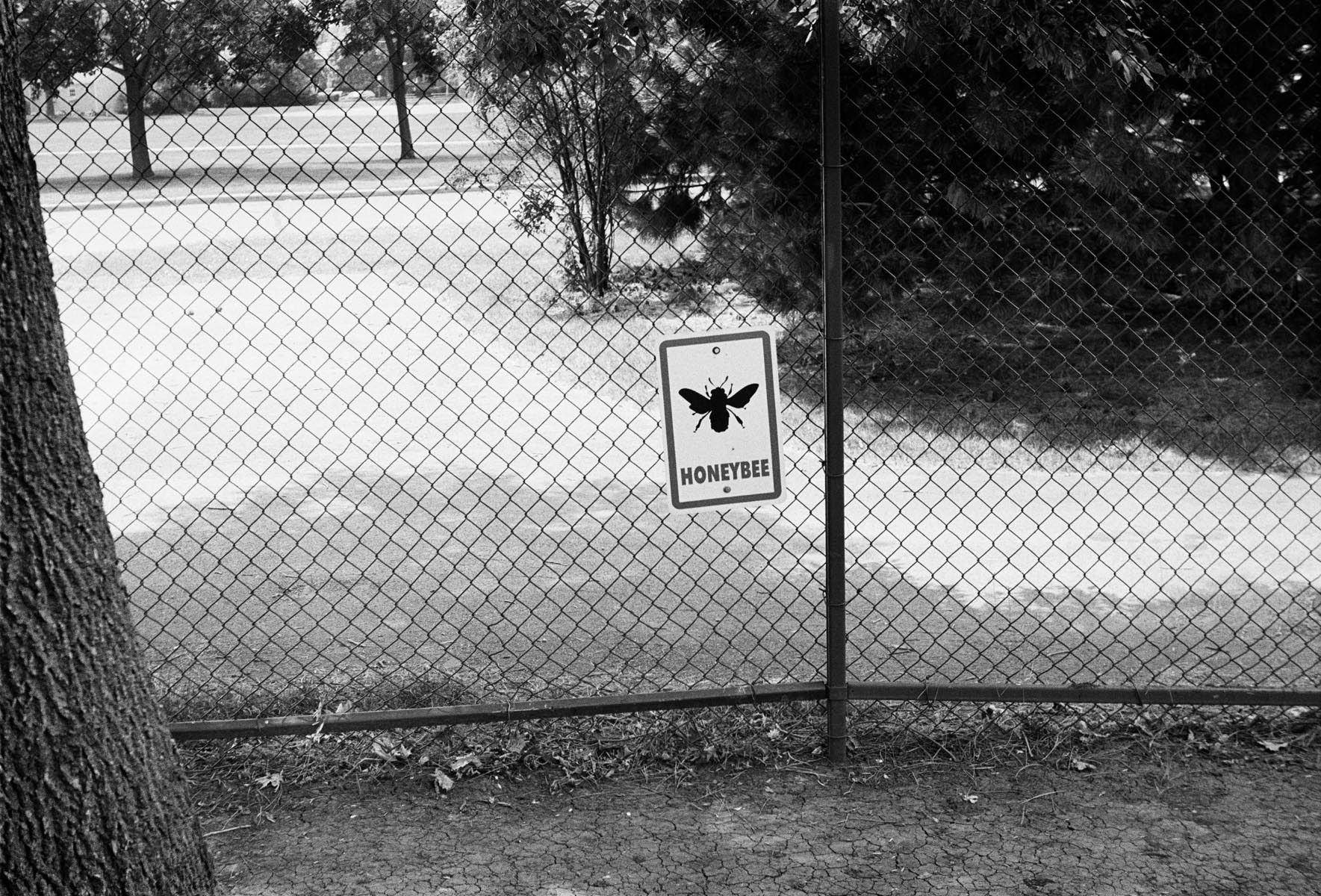 Zoo, Menominee Park, Oshkosh, WI 2001