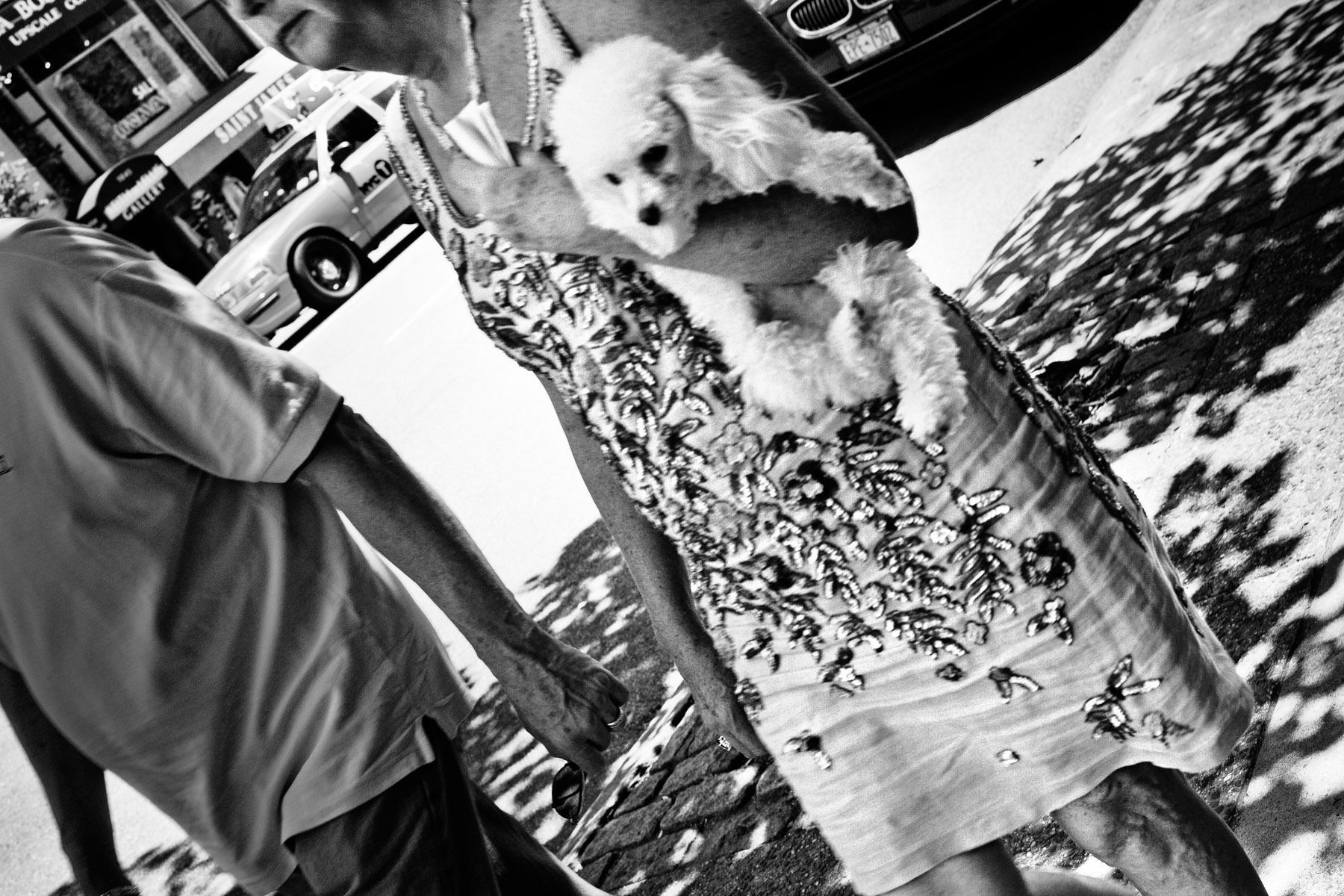 Madison Avenue, New York, NY, 2010