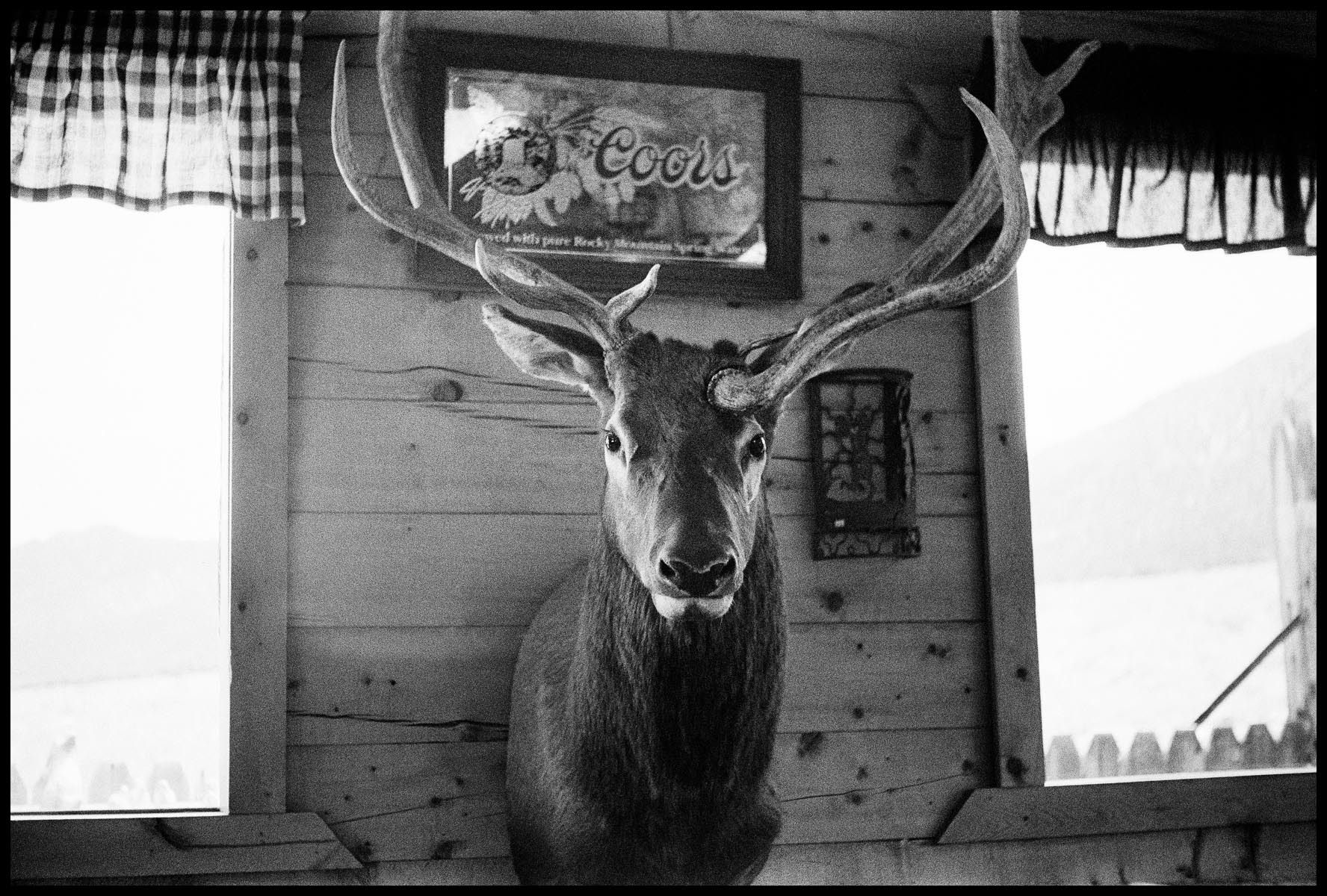 Great Sand Dunes National Park, CO, 2004