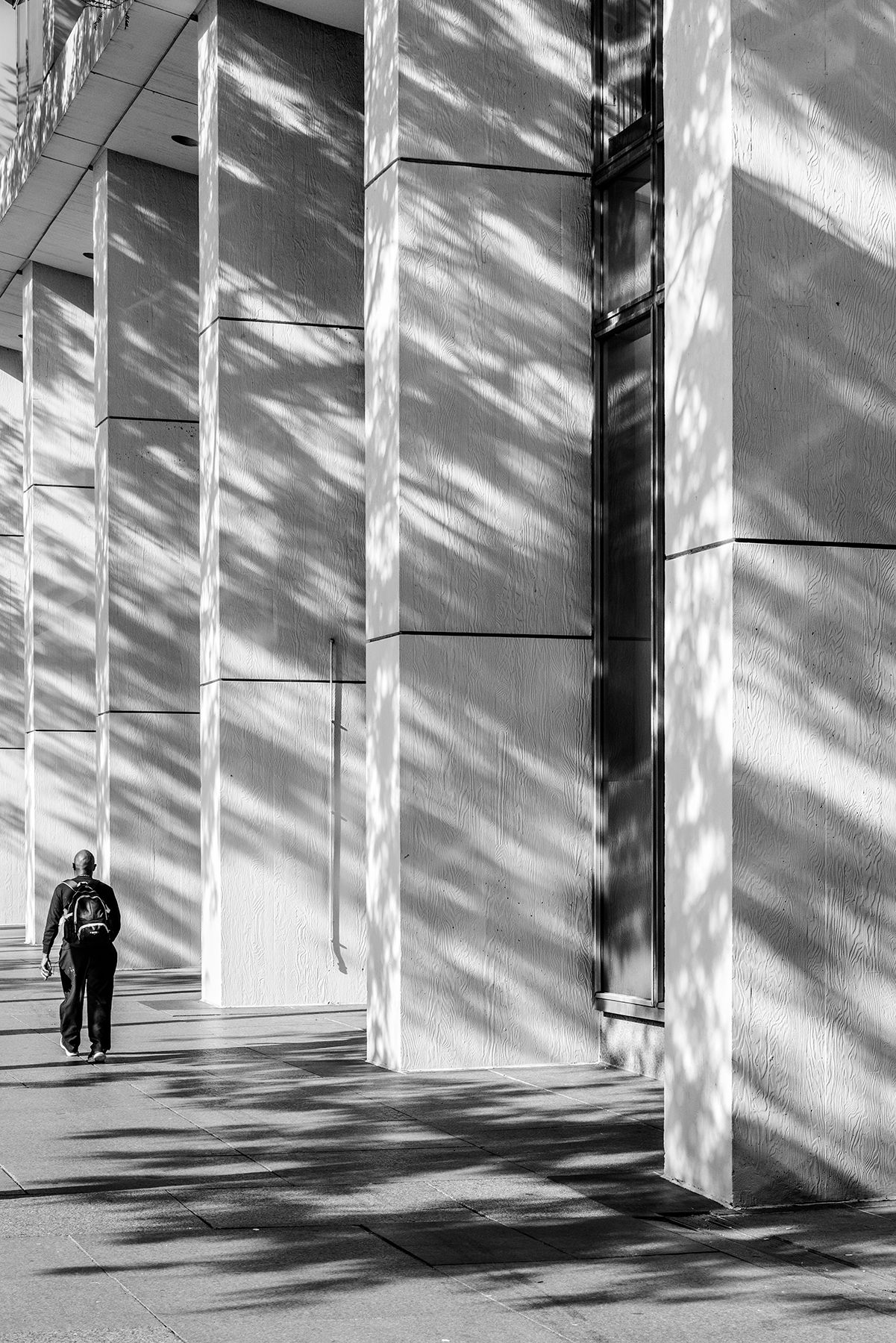 South 15th Street, Philadelphia, PA 2019