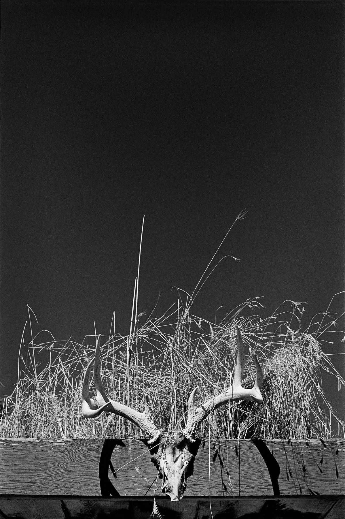 Bill Cody, Scouts' Rest Ranch, North Platte, NE, 1995