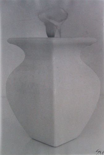 1White_Vase_White_Calla