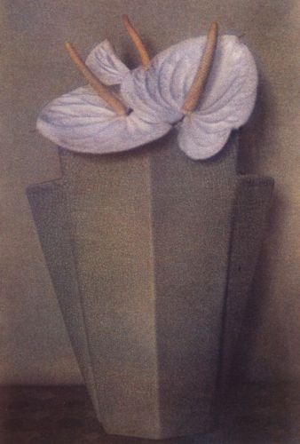 1ANTHERIUMSGREYVASESM80