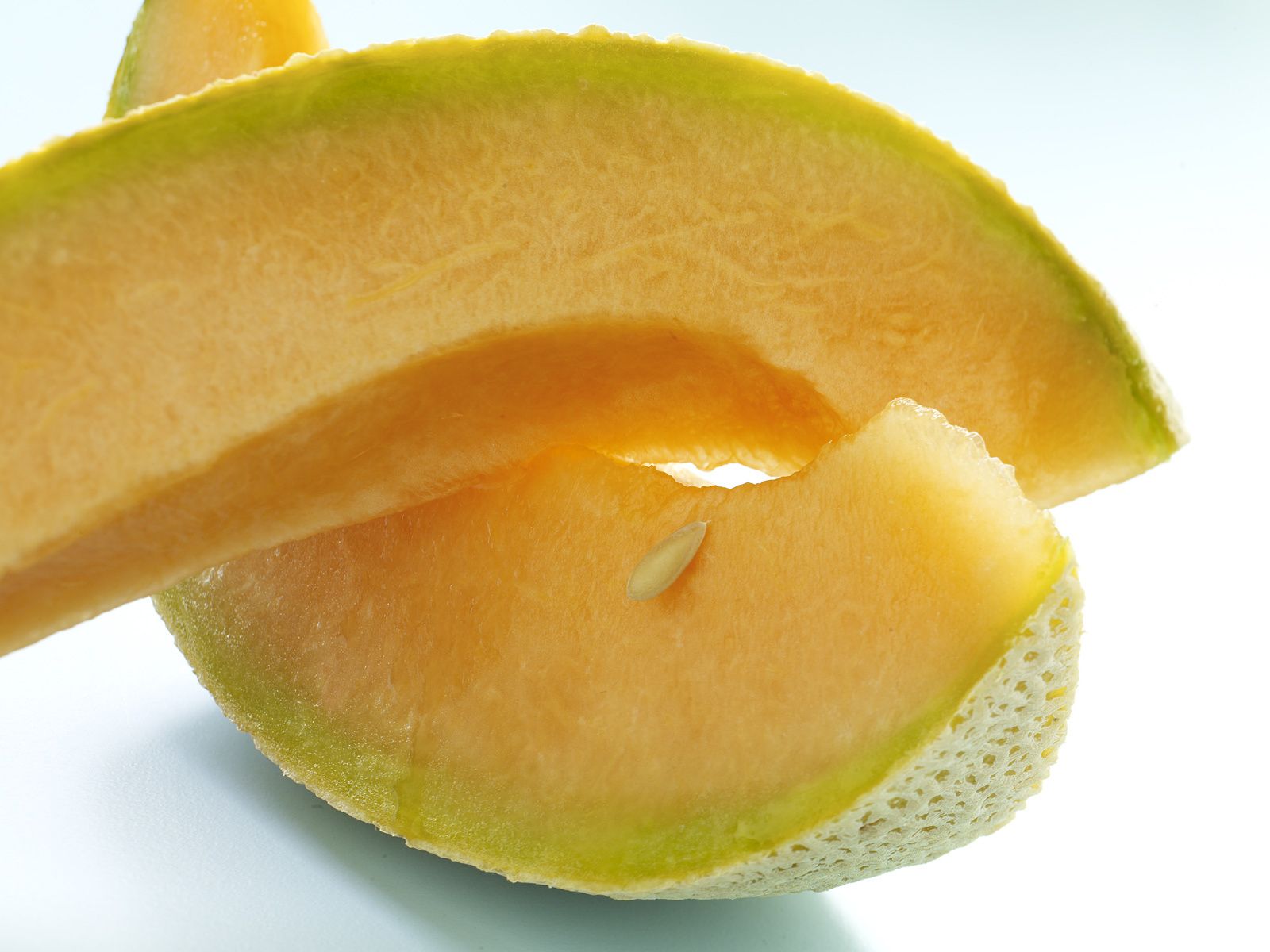 1cantaloupe.jpg