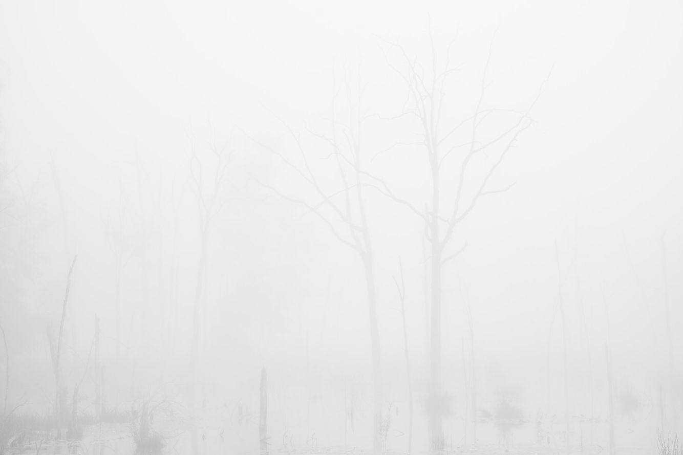 SM-110901-045.jpg