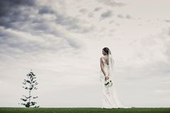 WF_007.jpg