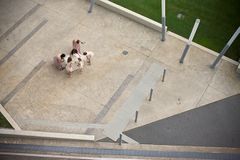 WF_013.jpg