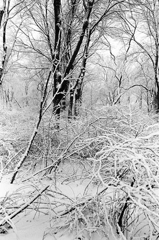 1threepond_snow_8_opt