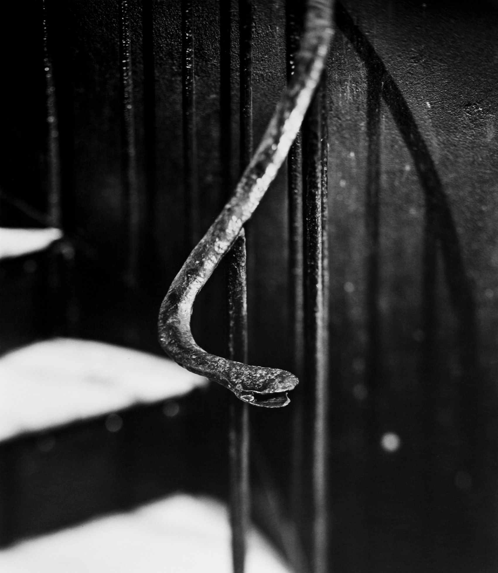 Snake Rail, Hanoi Central Prison