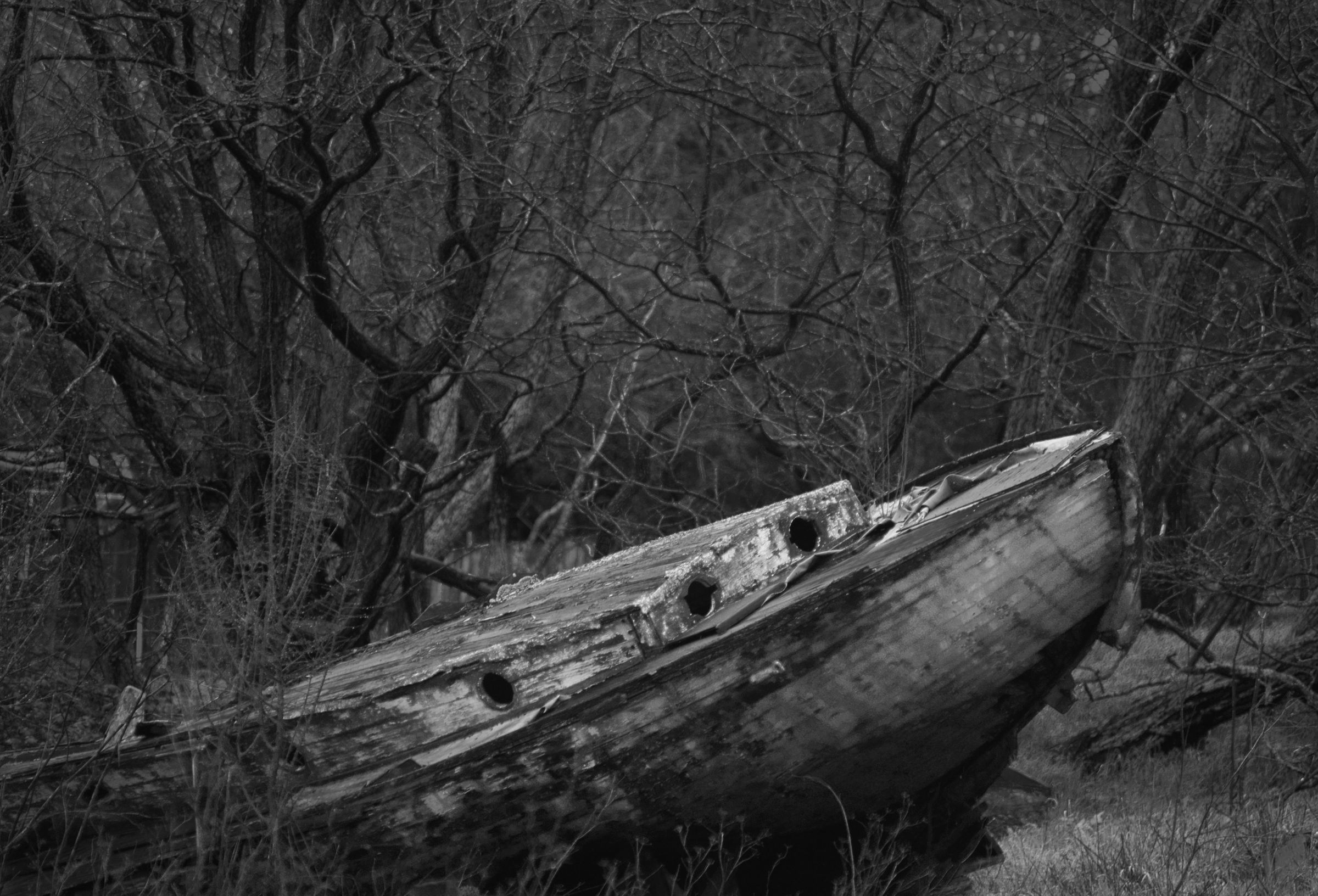 LostBoat, Sonoma Coast