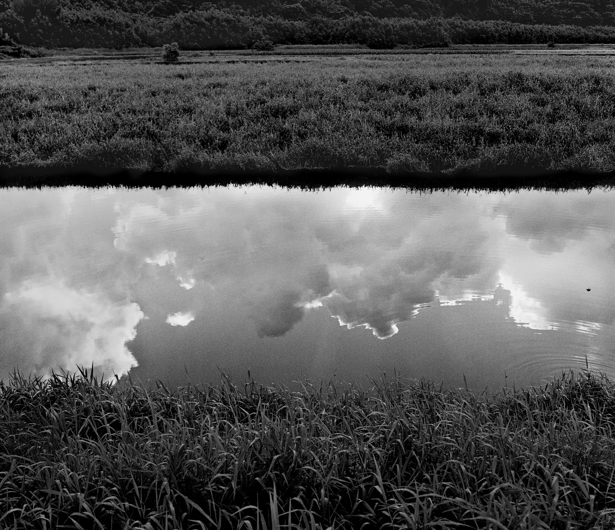 Handle River Reflection, Kauai