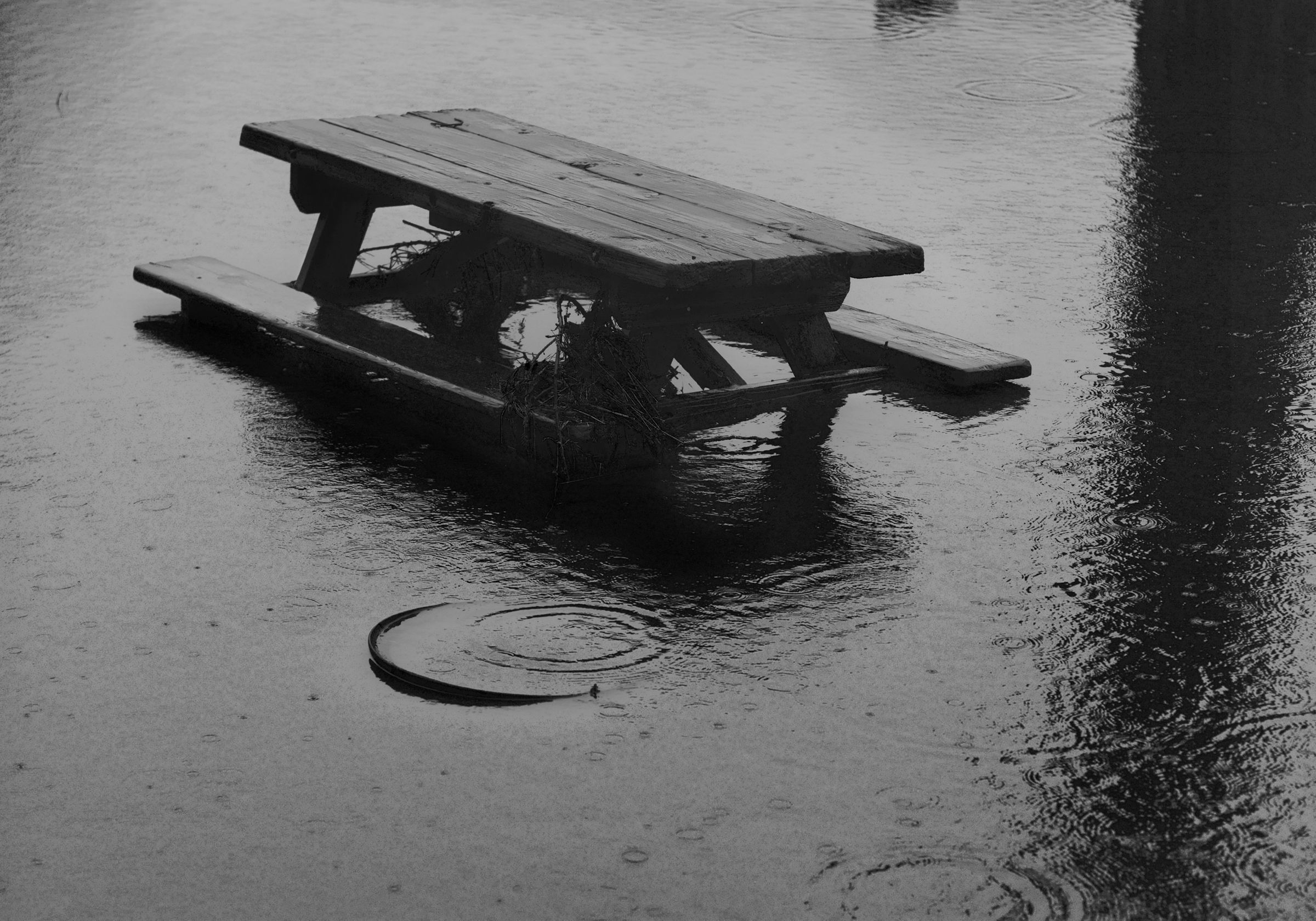 Winter Picnic, Marin CA