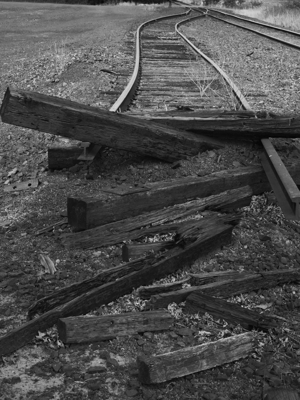 Two Roads Diverged, Oregon