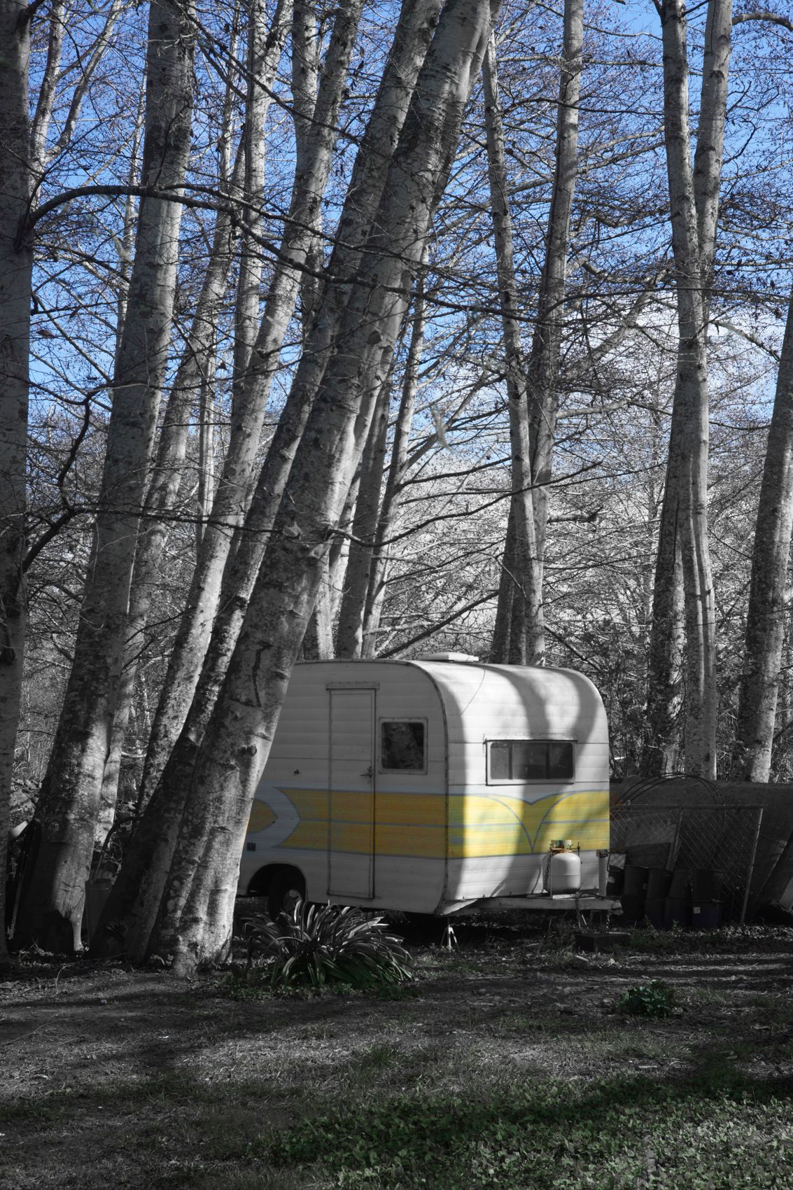 Yellow Camper, Inverness California