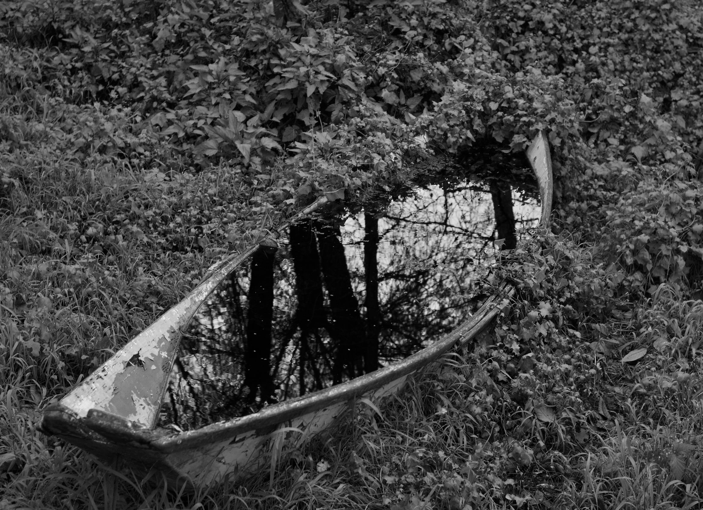 Full Boat, Bolinas California