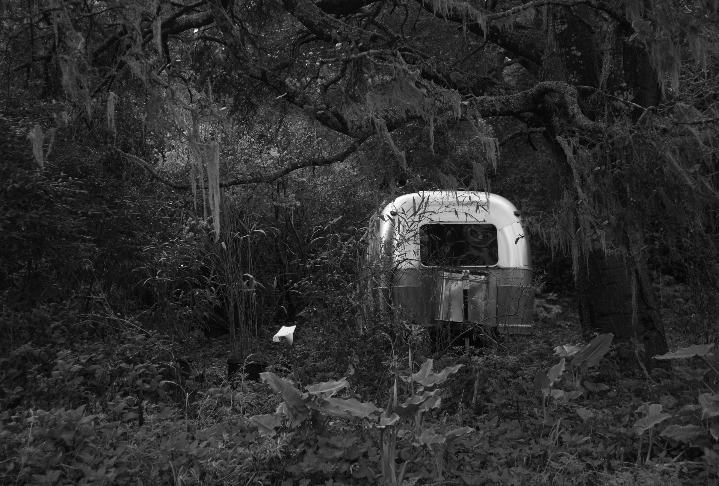 Lily_and_Airstream, Bolinas, California