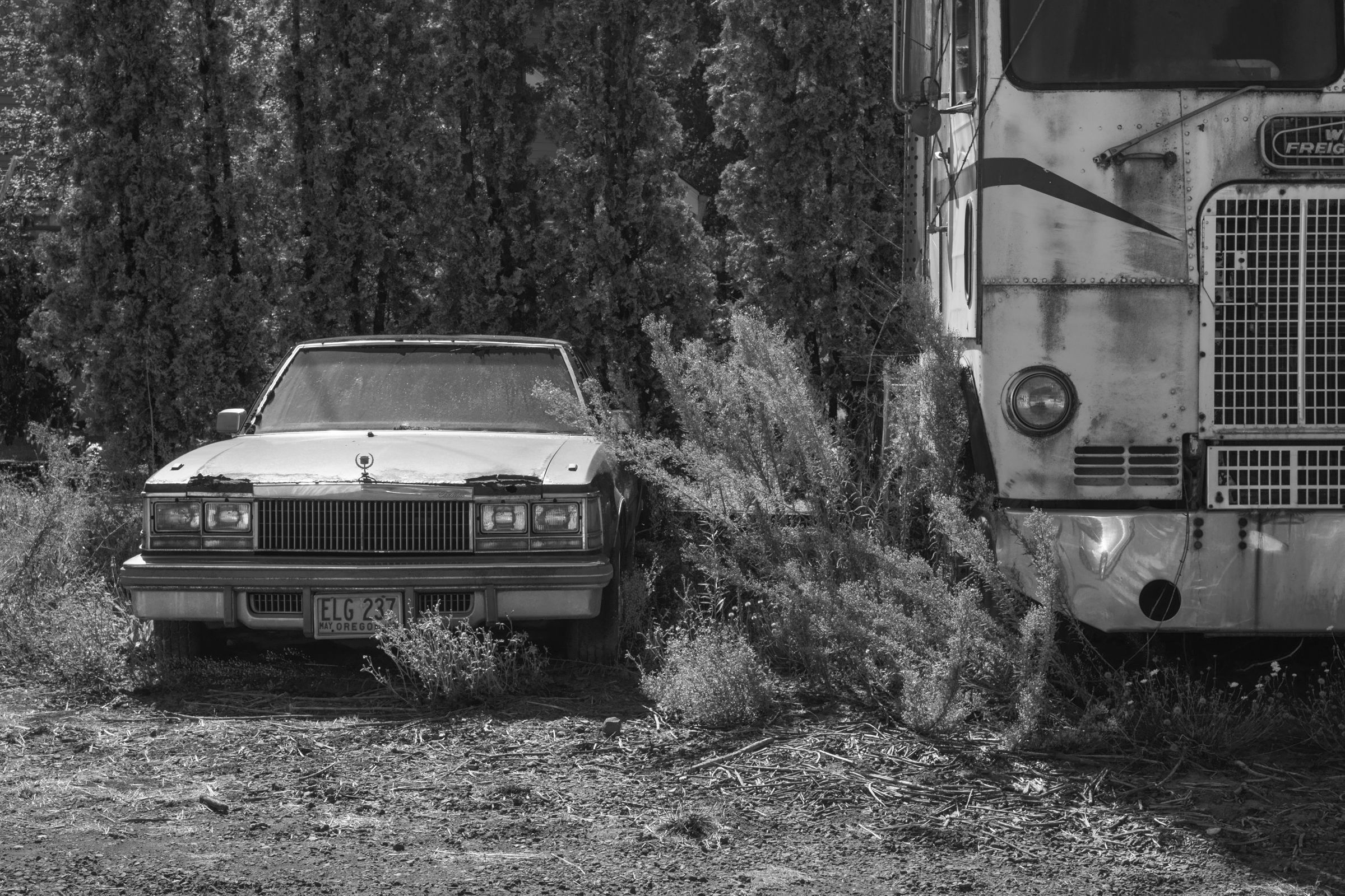 Cadillac and Semi, Oregon