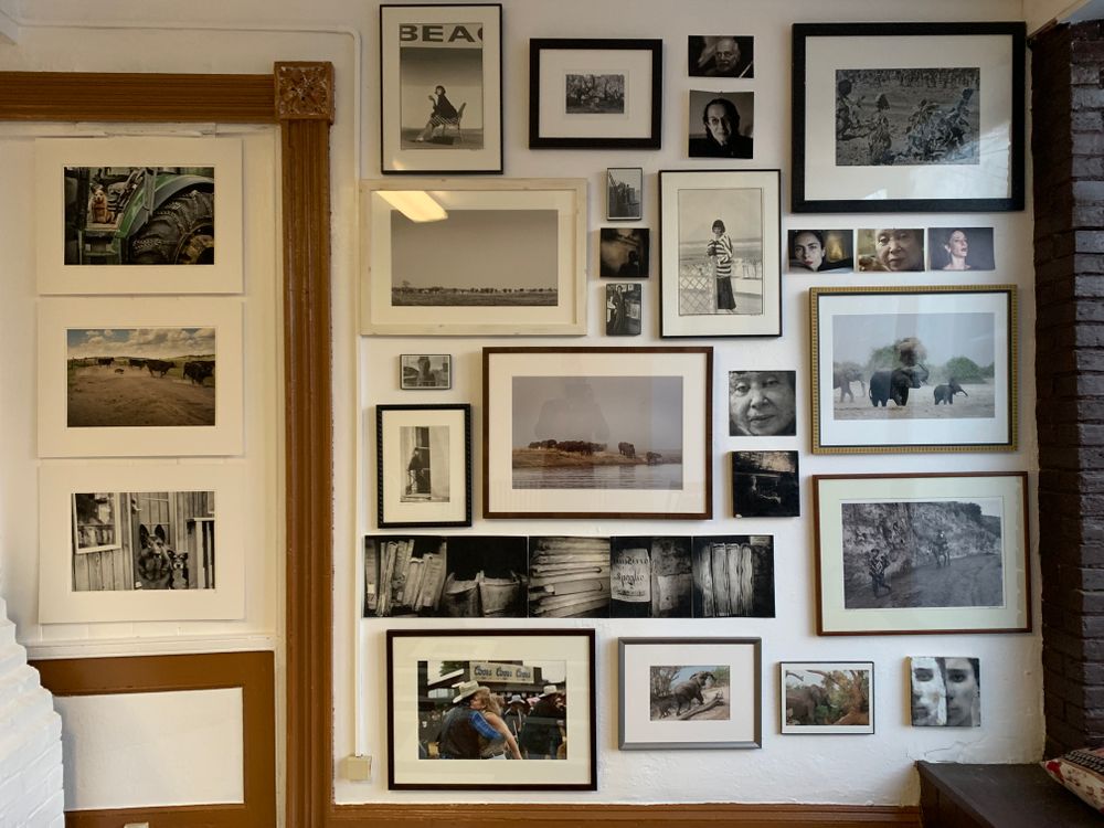 Photograph of photographs in Brown Eyes Gallery. Nancy LeVine, photographer