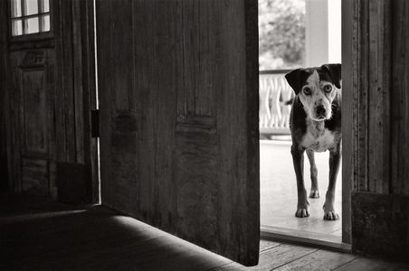 Wally 14 years old  Ferrida, Louisiana