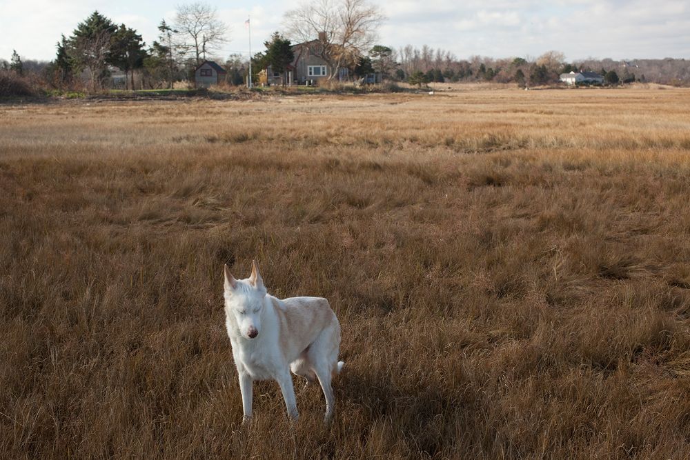 Joon 16 years old Sandwich, Massachusetts_Image max.16x10.5.jpg