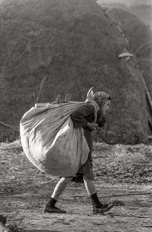 Woman Laborer carrying a big load on era back  Guadalajara,Mallorca 1974