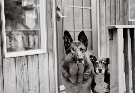 Mason, 12 years old   Bailey, 15 years old     Cle Elum, Washington