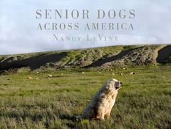 Senior Dogs Across America Photo Book